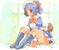 Rule 34 | 1girl, animal ears, blue hair, breasts, brown eyes, dog ears, dog tail, female focus, looking at viewer, looking to the side, maid, medium breasts, okome rice, original, sitting, solo, tail