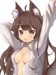 Rule 34 | 1girl, :o, ahoge, animal ears, blush, breasts, brown hair, cat ears, chestnut mouth, cleavage, dress shirt, kinjo kuromomo, large breasts, long hair, no bra, open clothes, open shirt, original, pink eyes, shirt, simple background, solo, stretching, tsurime, uneven eyes, upper body, waking up, white background