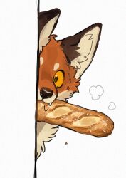 Rule 34 | animal focus, baguette, bread, colored sclera, commentary, crumbs, fang, food, fox, holding, holding food, looking at viewer, mouth hold, no humans, original, puff of air, solo, symbol-only commentary, upper body, white background, wintom, yellow sclera