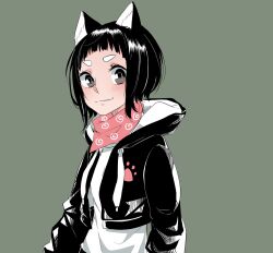 Rule 34 | 1girl, animal ear fluff, animal ears, black eyes, black hair, black jacket, blush, closed mouth, commentary request, cropped jacket, dog ears, dog girl, grey background, highres, hood, hood down, hooded jacket, jacket, kashikaze, long sleeves, looking at viewer, open clothes, open jacket, original, sakurako (kashikaze), shirt, short hair, simple background, solo, upper body, white shirt