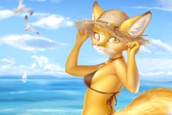 Rule 34 | 1girl, :3, adjusting clothes, adjusting headwear, agnes (fantastic mr. fox), ancesra, animal, animal ear fluff, animal ears, animal nose, artist name, back, bare shoulders, bikini, bird, blue background, blue sky, boat, body fur, breasts, brown bikini, brown hat, closed mouth, cloud, day, ears through headwear, fantastic mr. fox, female focus, fox ears, fox girl, fox tail, freckles, from behind, furry, furry female, gradient sky, hands up, hat, horizon, looking at viewer, looking back, motion blur, ocean, outdoors, patreon username, redrawn, sailboat, seagull, sky, small breasts, snout, solo, standing, straw hat, sun hat, swimsuit, tail, two-tone fur, upper body, water, watercraft, watermark, web address, white fur, yellow eyes, yellow fur