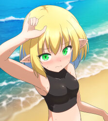 Rule 34 | 1girl, armpits, beach, black shirt, blonde hair, blush, breasts, cato (monocatienus), closed mouth, commentary request, crop top, frown, green eyes, looking at viewer, medium breasts, mizuhashi parsee, nose blush, ocean, parsee day, pointy ears, sand, shirt, short hair, sleeveless, sleeveless shirt, solo, sweat, tight clothes, tight shirt, touhou, upper body, water