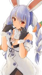 Rule 34 | 1girl, absurdres, animal ear fluff, animal ears, arms up, bare shoulders, black bra, black gloves, blue hair, blush, bra, braid, brown pantyhose, carrot hair ornament, cowboy shot, detached sleeves, don-chan (usada pekora), dress, food-themed hair ornament, fur-trimmed gloves, fur trim, gloves, hair between eyes, hair ornament, hands on own face, head tilt, highres, hololive, looking at viewer, multicolored hair, pantyhose, puffy short sleeves, puffy sleeves, rabbit ears, rabbit girl, red eyes, short sleeves, simple background, smile, solo, standing, thick eyebrows, twin braids, two-tone hair, underwear, usada pekora, usada pekora (1st costume), virtual youtuber, white background, white dress, white hair, yamabukiiro (browncat)