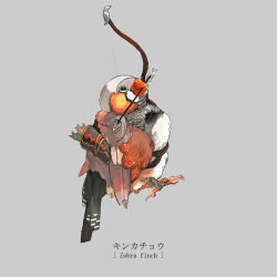 Rule 34 | animal focus, arrow (projectile), bad id, bad pixiv id, bird, bow (weapon), english text, ikeuchi, mouth hold, no humans, original, quiver, simple background, solo, weapon, zebra finch