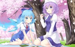 Rule 34 | :q, apron, artist request, blue bow, blue dress, blue eyes, blue hair, bow, cherry blossoms, cirno, closed mouth, collared shirt, dango, dress, eating, food, full body, hair bow, letty whiterock, long sleeves, non-web source, open mouth, outdoors, pinafore dress, polearm, puffy short sleeves, puffy sleeves, purple eyes, purple hair, purple vest, seiza, shirt, short hair, short sleeves, sitting, sleeveless dress, smile, source request, tongue, tongue out, touhou, touhou cannonball, tree, trident, vest, wagashi, waist apron, weapon, white apron, white headwear