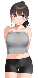 Rule 34 | 1girl, arms behind back, bike shorts, black hair, blush, breasts, brown eyes, camisole, closed mouth, commentary request, grey camisole, looking at viewer, medium breasts, midriff, navel, original, ponytail, short hair, simple background, solo, sweatdrop, terazip, thighs, white background
