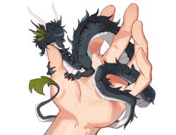 Rule 34 | animal, animal focus, between fingers, dragon, eastern dragon, finger hug, highres, holding, in palm, looking at viewer, original, ou331, out of frame, pov, pov hands, simple background, size difference, solo focus, white background