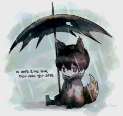 Rule 34 | 1boy, animal ears, atoymk, black hair, black umbrella, brown eyes, chibi, closed mouth, commentary request, e.g.o (project moon), expressionless, fox boy, fox ears, fox tail, highres, korean commentary, korean text, limbus company, male focus, no nose, project moon, raincoat, short hair, sitting, solo, tail, torn umbrella, translation request, umbrella, white raincoat, yi sang (project moon)