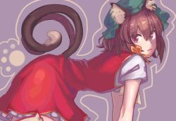 Rule 34 | 1girl, brown hair, cat tail, chen, commentary request, dress, flat chest, from side, gold trim, grey background, kosaka sakasa, medium hair, multiple tails, nekomata, one-hour drawing challenge, petticoat, purple eyes, red dress, short sleeves, simple background, solo, tail, touhou, two tails