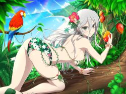 Rule 34 | 1girl, :t, animal, ass, bare shoulders, beach, beak, bikini, bird, blue sky, blush, bracelet, branch, breasts, climbing, cloud, day, eating, feathers, floral print, flower, food, food on face, food request, fruit, green eyes, green footwear, grey hair, hair between eyes, hair flower, hair ornament, hibiscus, holding, holding food, holding fruit, horizon, in tree, jewelry, large breasts, leaf, lens flare, light particles, light rays, long hair, looking at viewer, macaw, mango, median furrow, ocean, official alternate costume, official art, orange flower, outdoors, palm leaf, palm tree, parrot, plant, rainbow, red-and-green macaw, red flower, sand, scarlet macaw, senkou (senran kagura), senran kagura, senran kagura new link, shiny skin, shoulder blades, sideboob, sky, solo, sunbeam, sunlight, swimsuit, thigh strap, tree, tropical, tsurime, vines, water, white flower, yaegashi nan, yellow flower