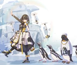 Rule 34 | 1girl, animal, arknights, bird, bird mask, black coat, black hair, clothed animal, coat, drone, gold necklace, green sweater, highres, ice skates, igloo, jewelry, kazana (sakuto), long sleeves, magallan (arknights), magallan (elite ii) (arknights), mask, mask around neck, multicolored hair, necklace, penguin, rhine lab logo, ribbed sweater, short hair, skates, snow, snow shelter, streaked hair, sunglasses, sweater, the emperor (arknights), turtleneck, turtleneck sweater, two-tone hair, whistle, white hair, yellow eyes