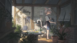 Rule 34 | 1girl, absurdres, animal ears, apron, black apron, black hairband, book, book stack, cat ears, cat girl, cat tail, dress, egg (food), flower pot, food, fork, fried egg, hairband, ham, highres, holding, holding watering can, knife, original, plant, plate, potted plant, ram-a, sandals, short hair, short sleeves, table, tail, tomato, watering, watering can, white dress, white hair, wooden table