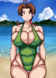 Rule 34 | 1girl, :o, alternate breast size, breasts, brown eyes, brown hair, cleavage, creatures (company), curvy, day, delia ketchum, feet out of frame, game freak, green one-piece swimsuit, highleg, highleg swimsuit, highres, large breasts, long hair, looking at viewer, low ponytail, nintendo, one-piece swimsuit, open mouth, parted bangs, pokemon, pokemon (anime), pokemon (classic anime), pokemon ep018, ponytail, shiny skin, skindentation, smile, solo, standing, sweat, swimsuit, teamtgs, thick thighs, thighs, wet, wide hips