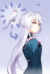 Rule 34 | 1girl, ahoge, animal, asticassia school uniform, bird, closed mouth, cockatiel, from side, glaring, green jacket, grey eyes, gundam, gundam suisei no majo, hair between eyes, highres, jacket, jymeng, long hair, looking at viewer, looking to the side, miorine rembran, parrot, school uniform, trait connection, upper body, v-shaped eyebrows, very long hair, wavy hair, white hair