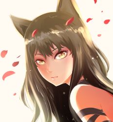 Rule 34 | 1girl, animal ears, arm ribbon, bad id, bad pixiv id, black hair, blake belladonna, bow, cat ears, cat girl, closed mouth, eyelashes, from side, hayadai, highres, light particles, lips, long hair, looking at viewer, petals, portrait, ribbon, rwby, slit pupils, solo, spoilers, yellow eyes