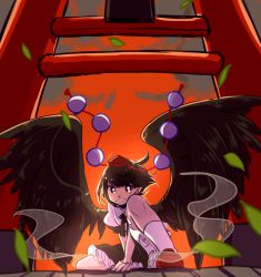 Rule 34 | 1girl, ark tr, black hair, black wings, commentary request, evening, feathered wings, grin, hat, highres, looking at viewer, orange sky, pointy ears, pom pom (clothes), puffy short sleeves, puffy sleeves, shameimaru aya, shirt, short hair, short sleeves, skirt, sky, smile, solo, tokin hat, torii, touhou, wings