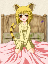 Rule 34 | animal ears, blonde hair, cat ears, cat tail, dress, fang, flat chest, fruits basket, long sleeves, short hair, sleeves past wrists, souma kisa, striped, tail, tiger ears, tiger tail, yellow eyes