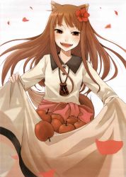 Rule 34 | 00s, 1girl, absurdres, animal ears, apple, ayakura juu, blush, brown hair, crease, fang, fangs, female focus, flower, food, fruit, hair flower, hair ornament, highres, holo, long hair, official art, red eyes, scan, scan artifacts, skirt, smile, solo, spice and wolf, tail, white background, wolf ears, wolf tail