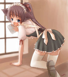 Rule 34 | 1girl, animal ears, cat ears, cleaning, cleaning windows, maid, solo, tagme, thighhighs, window