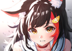 Rule 34 | 1girl, animal ear fluff, animal ears, black hair, blush, brown eyes, choker, commentary request, daichi (daichi catcat), hair ornament, hairclip, highres, hololive, long hair, looking at viewer, multicolored hair, ookami mio, ookami mio (1st costume), parted lips, portrait, red choker, red hair, sailor collar, solo, streaked hair, virtual youtuber, white sailor collar, wolf ears