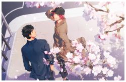 Rule 34 | 2boys, alternate costume, black hair, black headwear, blouse, blue eyes, blue shirt, brown coat, cherry blossoms, coat, collared shirt, couple, free!, from above, hair between eyes, hands in pockets, looking at viewer, looking up, male focus, matsuoka rin, multiple boys, okii (oh ki ik), petals, red eyes, red hair, road, shirt, short hair, street, sunlight, winter clothes, yamazaki sousuke