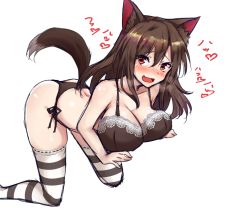 Rule 34 | 1girl, :d, amagi (amagi626), animal ear fluff, animal ears, bare shoulders, bent over, black bra, black panties, bra, breasts, brown hair, cleavage, collarbone, eyes visible through hair, hair between eyes, heavy breathing, imaizumi kagerou, lace, lace bra, large breasts, lingerie, long hair, looking at viewer, open mouth, panties, red eyes, side-tie panties, simple background, smile, solo, striped clothes, striped thighhighs, tail, thighhighs, touhou, translated, underwear, underwear only, white background, wolf ears, wolf tail