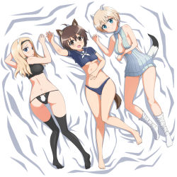Rule 34 | 3girls, absurdres, aleksandra i. pokryshkin, animal ears, ass, ass cutout, bed, black panties, blonde hair, blue eyes, blush, brave witches, breasts, brown eyes, brown hair, butt crack, cameltoe, cleavage, clothing cutout, full body, highres, karibuchi hikari, keyhole panties, long hair, looking at viewer, looking back, lying, medium breasts, midriff, multiple girls, nikka edvardine katajainen, on back, on stomach, open mouth, panties, short hair, smile, swimsuit, tail, top-down bottom-up, underboob, underwear, world witches series