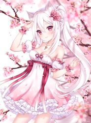 Rule 34 | 1girl, animal ear fluff, animal ears, artist name, bare shoulders, blurry, blurry background, blush, braid, branch, breasts, cat ears, cherry blossoms, cleavage, closed mouth, collarbone, commentary, depth of field, detached sleeves, dress, english commentary, flower, frilled sleeves, frills, hair between eyes, hair flower, hair ornament, hand up, highres, jewelry, long hair, looking at viewer, medium breasts, nami (nyaa), original, pendant, petals, pink dress, pink flower, pink rose, ponytail, puffy short sleeves, puffy sleeves, red eyes, rose, short sleeves, smile, solo, strapless, strapless dress, very long hair, white background, white dress, white hair, white sleeves, wrist cuffs