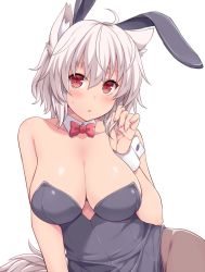 Rule 34 | 1girl, amane hasuhito, animal ears, bad id, bad pixiv id, bare shoulders, black pantyhose, blush, bow, bowtie, breasts, cleavage, collarbone, curvy, detached collar, fake animal ears, hair between eyes, inubashiri momiji, large breasts, leotard, looking at viewer, pantyhose, playboy bunny, rabbit ears, red bow, red bowtie, red eyes, short hair, simple background, solo, sweatdrop, tail, touhou, triangle mouth, white background, white hair, wide hips, wolf ears, wolf tail, wrist cuffs