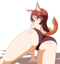Rule 34 | 1girl, all fours, animal ears, ass, blush, from behind, highres, long hair, looking back, minna-dietlinde wilcke, orange eyes, panties, red hair, solo, strike witches, tail, underwear, underwear only, world witches series, yumekaranigeruna