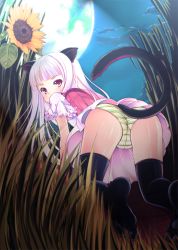 Rule 34 | 1girl, all fours, animal ears, ass, backpack, bad id, bad pixiv id, bag, bent over, black thighhighs, blush, butt crack, cat ears, cat tail, cloud, dress, flower, grass, green panties, looking at viewer, looking back, outdoors, panties, pantyshot, purple dress, purple skirt, randoseru, short sleeves, silver hair, skirt, sky, solo, striped clothes, striped panties, sunflower, tail, thighhighs, thighs, underwear, yako, zettai ryouiki