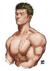 Rule 34 | 1boy, bara, earrings, green hair, greenteaa, highres, jewelry, looking at viewer, male focus, mature male, muscular, muscular male, one eye closed, one piece, pectorals, roronoa zoro, scar, scar across eye, scar on face, short hair, solo, upper body
