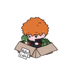Rule 34 | 1boy, black pants, blush stickers, bored, box, broccoli, cardboard box, chibi, food, highres, holding, holding food, ikoma squad&#039;s uniform, in box, in container, jacket, korean commentary, korean text, long sleeves, looking ahead, male focus, mizukami satoshi (world trigger), orange hair, pants, pie wt, price tag, short hair, simple background, sitting, solo, white background, world trigger