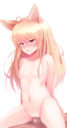 Rule 34 | 1boy, 1girl, absurdres, animal ears, bad id, bad pixiv id, blonde hair, blush, breasts, elin, girl on top, hetero, highres, long hair, md5 mismatch, nipples, nude, penis, pussy, red eyes, septet (zrca janne), sex, simple background, small breasts, solo focus, tera online, uncensored, vaginal, white background