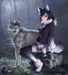 Rule 34 | 10s, 1girl, :o, animal, animal ears, black hair, black jacket, blazer, blue eyes, breast pocket, eyelashes, fog, forest, from side, fur collar, gloves, gradient hair, gradient legwear, grass, grey wolf (kemono friends), heterochromia, highres, jacket, kemono friends, long hair, long sleeves, multicolored clothes, multicolored hair, multicolored legwear, nature, open mouth, outdoors, plaid, plaid skirt, pocket, rock, shoes, sitting, sitting on rock, skirt, sneakers, tail, thighhighs, treeware, tsurime, two-tone hair, white footwear, white gloves, white hair, wolf, wolf ears, wolf tail, yellow eyes, zettai ryouiki