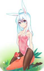Rule 34 | 1girl, animal ears, blue eyes, breasts, rabbit ears, rabbit tail, carrot, covered navel, fake animal ears, grass, hand on own chest, kneeling, long hair, mushroom, no shoes, original, pantyhose, playboy bunny, qing lan, small breasts, solo, tail, white hair