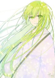 Rule 34 | 1other, androgynous, enkidu (fate), fate/strange fake, fate (series), green eyes, green hair, hair between eyes, highres, hood, hood down, hooded robe, long hair, looking at viewer, parted lips, robe, signature, simple background, sofra, solo, upper body, very long hair, white background, white robe