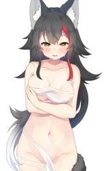 Rule 34 | 1girl, absurdres, amato 0321, animal ear fluff, animal ears, black hair, blush, breasts, brown eyes, budget sarashi, collarbone, colored tips, commentary request, cowboy shot, fang, gluteal fold, highres, hololive, large breasts, long hair, looking at viewer, multicolored hair, navel, ookami mio, open mouth, red hair, sarashi, skin fang, solo, streaked hair, tail, very long hair, virtual youtuber, white hair, wolf ears, wolf girl, wolf tail