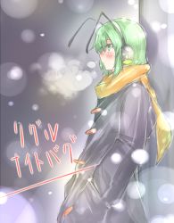 Rule 34 | 1girl, alternate costume, antennae, blush, breath, character name, coat, earmuffs, green eyes, green hair, hands in pockets, long sleeves, matching hair/eyes, ototobe, profile, scarf, solo, standing, touhou, winter, winter clothes, wriggle nightbug