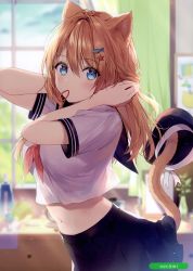 Rule 34 | 1girl, absurdres, animal ears, artist name, beret, blouse, blue eyes, blurry, blurry background, blush, breasts, brown hair, cat ears, cat girl, cat tail, curtains, day, depth of field, fingernails, hair ornament, hat, highres, holding, holding with tail, indoors, looking at viewer, medium breasts, melonbooks, navel, necomi, pleated skirt, prehensile tail, scan, school uniform, serafuku, shirt, short sleeves, skirt, solo, stomach, tail, unworn hat, unworn headwear, white shirt, window