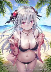 Rule 34 | 1girl, akkijin, armpit crease, bare shoulders, beach, bikini, black bikini, blush, breasts, calamity (shinkai no valkyrie), cleavage, collarbone, day, hair between eyes, hair ornament, highres, jacket, jewelry, large breasts, leaf, long hair, looking at viewer, looking away, navel, necklace, o-ring, o-ring bikini, ocean, off shoulder, open clothes, open jacket, outdoors, pink eyes, pink jacket, red eyes, shinkai no valkyrie, side-tie bikini bottom, silver hair, solo, stomach, string bikini, swimsuit, thighs, very long hair