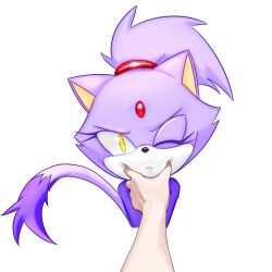 Rule 34 | 1girl, animal ears, blaze the cat, cat ears, cat girl, cat tail, forehead jewel, furry, furry female, looking at viewer, meme, one eye closed, pincubepi, ponytail, pov cheek grabbing (meme), purple fur, simple background, sonic (series), tail, white background, yellow eyes