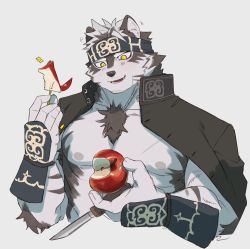 Rule 34 | 1boy, ainu clothes, animal ears, apple, bara, chest hair, commentary request, food, fruit, furry, furry male, grey background, grey fur, grey hair, headband, highres, holding, holding food, holding fruit, horkeu kamui, jacket, jacket on shoulders, large pectorals, male focus, multicolored hair, muscular, muscular male, nipples, no shirt, pectorals, s-skio, short hair, simple background, solo, tokyo houkago summoners, two-tone fur, two-tone hair, upper body, white fur, white hair, wolf boy, wolf ears, yellow eyes