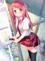 Rule 34 | absurdres, black thighhighs, blush, bra, bra visible through clothes, breasts, bus stop, day, dutch angle, flower, hair ribbon, highres, hydrangea, kantoku, kurumi (kantoku), long hair, looking at viewer, necktie, original, outdoors, parted lips, pink bra, pink hair, plaid, plaid necktie, plaid neckwear, plaid skirt, pleated skirt, purple eyes, ribbon, scan, see-through, shirt, skirt, small breasts, solo, swept bangs, thighhighs, two side up, underwear, wet, wet clothes, wet shirt, wringing clothes, wringing skirt