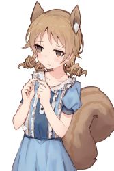 Rule 34 | 1girl, @ @, animal ear fluff, animal ears, blue dress, brown eyes, brown hair, center frills, collarbone, commentary, dress, drill hair, extra ears, frills, highres, idolmaster, idolmaster cinderella girls, kemonomimi mode, long hair, looking away, morikubo nono, puffy short sleeves, puffy sleeves, shone, short sleeves, simple background, solo, squirrel ears, squirrel tail, tail, twiddling fingers, wavy mouth, white background