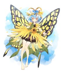 Rule 34 | 1girl, :&lt;, antennae, barefoot, black dress, blue hair, blush, butterfly wings, closed mouth, collarbone, commentary, dress, eternity larva, flower, full body, green dress, highres, insect wings, leaf, leaf on head, looking at viewer, medium hair, multicolored clothes, multicolored dress, nikorashi-ka, scrunchie, short dress, sleeveless, sleeveless dress, solo, sunflower, touhou, wings, wrist scrunchie, yellow dress, yellow eyes