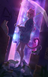 Rule 34 | 1girl, absurdres, animal ears, blonde hair, cat, cat ears, graffiti, hat, highres, holding, looking at viewer, memory (identity v), original, outdoors, ponytail, purple eyes, red eyes, smile, soo ou, tail, umbrella