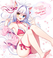 Rule 34 | 1girl, :d, aina rive, animal ear fluff, animal ears, armpits, ass, bare shoulders, barefoot, bikini, blue eyes, breasts, cat ears, cat girl, cat tail, choker, cleavage, frilled bikini, frills, hair ribbon, halterneck, hands up, heterochromia, jacket, knees up, long hair, looking at viewer, mauve, medium breasts, milestone celebration, off shoulder, open clothes, open jacket, open mouth, original, pink jacket, red bikini, red choker, ribbon, smile, solo, string bikini, swimsuit, tail, thank you, thigh strap, thighs, v, white hair, yellow eyes