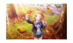 Rule 34 | 1girl, ;o, amakusa kotone, aqua cardigan, arched bangs, arm up, autumn leaves, backpack, bag, bag charm, bench, black jacket, border, brown hair, cardigan, charm (object), cinderella series, collared shirt, cowboy shot, drink, falling leaves, game cg, ginkgo leaf, grey shirt, hachigatsu no cinderella nine, highres, holding, holding drink, holding leaf, jacket, leaf, lens flare, light rays, long sleeves, looking at object, maple leaf, miniskirt, neck ribbon, non-web source, official art, on grass, one eye closed, open clothes, open jacket, open mouth, outdoors, plaid clothes, plaid skirt, pleated skirt, purple bag, purple eyes, red ribbon, ribbon, school uniform, shirt, short hair, skirt, solo, standing, sunbeam, sunlight, tree, white border, white shirt, wooden bench