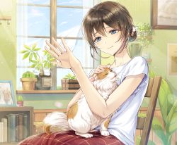 Rule 34 | 1girl, animal, animal on lap, blue eyes, blue sky, book, bookshelf, brown hair, cactus, cat, cat on lap, chair, closed mouth, cloud, commentary request, curtains, day, hair between eyes, hair bun, hand up, head tilt, indoors, jewelry, looking away, md5 mismatch, mono lith, on lap, original, photo (object), picture frame, plant, potted plant, red skirt, resolution mismatch, ring, shirt, short sleeves, single hair bun, sitting, skirt, sky, smile, solo, source smaller, sunlight, transparent, wedding band, white shirt, window